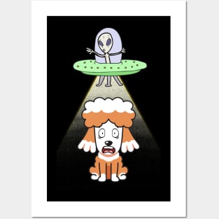 Funny poodle is being abducted by aliens Posters and Art